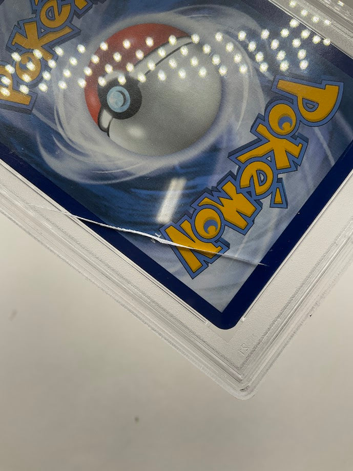 Dachsbun ex Pokemon Stellar Crown Special Illustration Rare #169 PSA 10